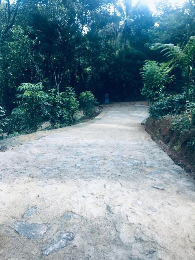 Desire Village Rakwana Dış mekan fotoğraf